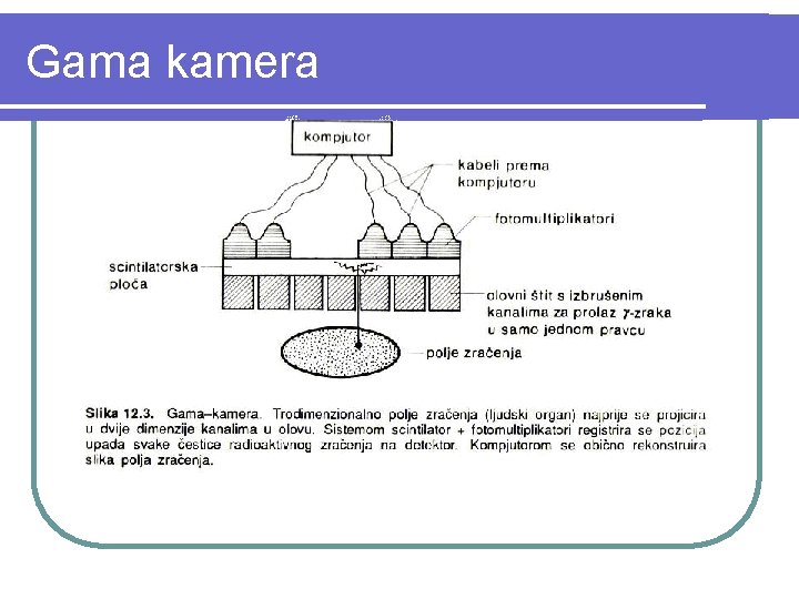 Gama kamera 