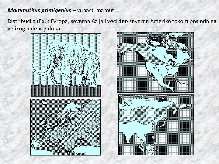 Mammuthus primigenius – vunasti mamut Distribucija (Ex. ): Evropa, severna Azija i veći deo