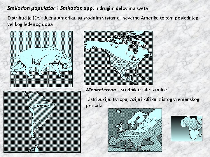 Smilodon populator i Smilodon spp. u drugim delovima sveta Distribucija (Ex. ): Južna Amerika,