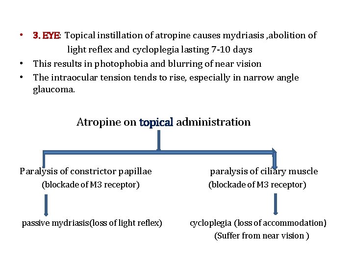  • 3. EYE: Topical instillation of atropine causes mydriasis , abolition of light