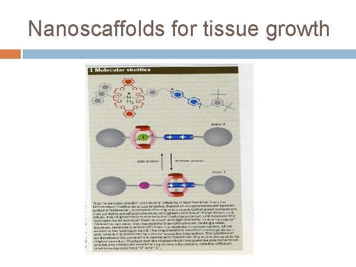 Nanoscaffolds for tissue growth 