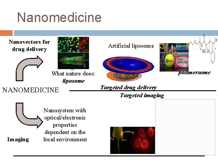 Nanomedicine Nanovectors for drug delivery What nature does: liposome NANOMEDICINE Imaging Nanosystem with optical/electronic