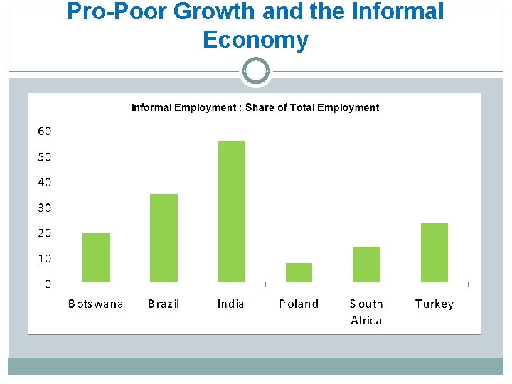 Pro-Poor Growth and the Informal Economy 