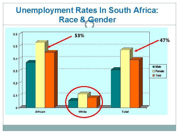 Unemployment Rates In South Africa: Race & Gender 53% 47% 