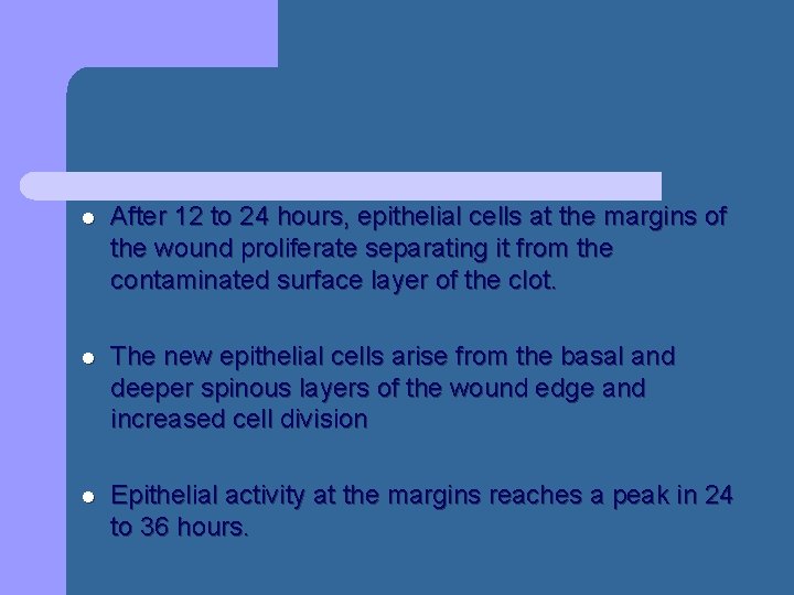 l After 12 to 24 hours, epithelial cells at the margins of the wound l After 12 to 24 hours, epithelial cells at the margins of the wound