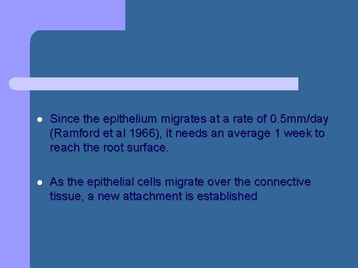 l Since the epithelium migrates at a rate of 0. 5 mm/day (Ramford et l Since the epithelium migrates at a rate of 0. 5 mm/day (Ramford et
