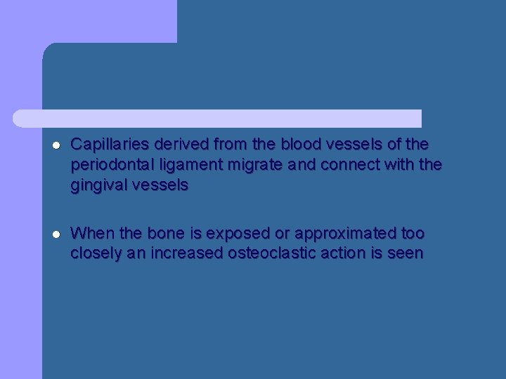 l Capillaries derived from the blood vessels of the periodontal ligament migrate and connect l Capillaries derived from the blood vessels of the periodontal ligament migrate and connect