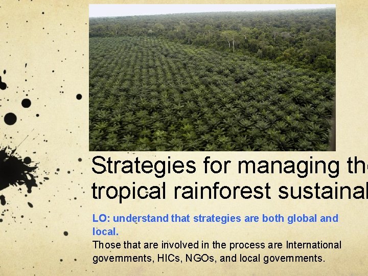 Strategies for managing the tropical rainforest sustainab LO: understand that strategies are both global