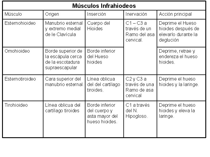 Músculos Infrahiodeos Músculo Origen Inserción Inervación Acción principal Esternohioideo Manubrio esternal Cuerpo del y