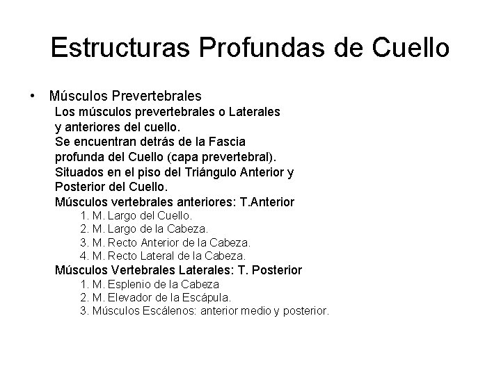 Estructuras Profundas de Cuello • Músculos Prevertebrales Los músculos prevertebrales o Laterales y anteriores