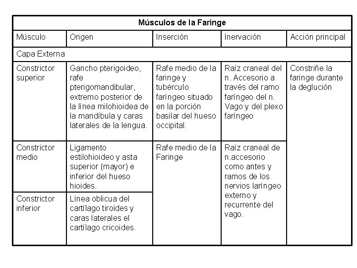 Músculos de la Faringe Músculo Origen Inserción Inervación Acción principal Constrictor superior Gancho pterigoideo,