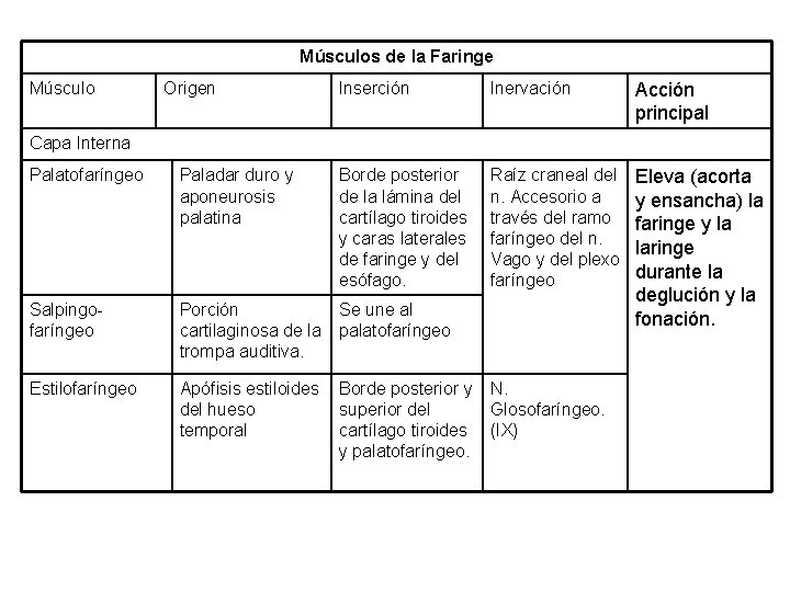 Músculos de la Faringe Músculo Origen Inserción Inervación Acción principal Raíz craneal del n.