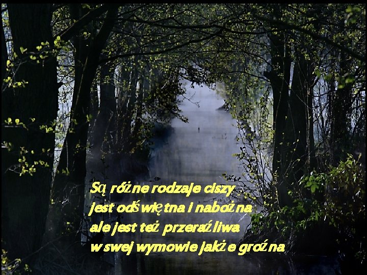 Są różne rodzaje ciszy jest odświętna i nabożna ale jest też przeraźliwa w swej