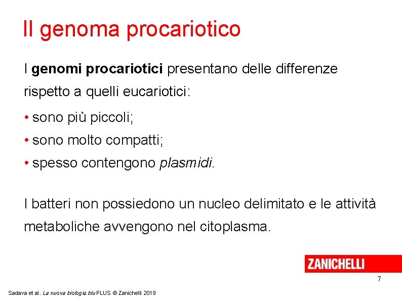 Il genoma procariotico I genomi procariotici presentano delle differenze rispetto a quelli eucariotici: •