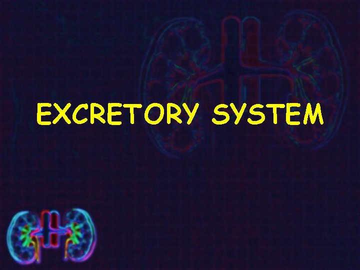 EXCRETORY SYSTEM 