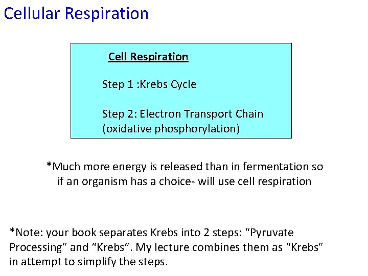 Cellular Respiration Cell Respiration Step 1 : Krebs Cycle Step 2: Electron Transport Chain