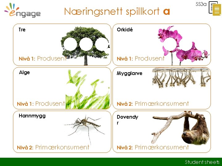 SS 3 a Næringsnett spillkort a Tre Nivå 1: Orkidé Produsent Alge Produsent Mygglarve
