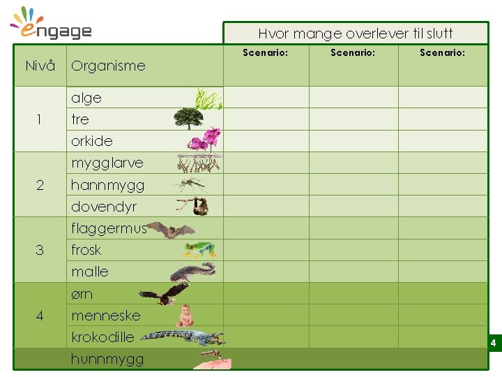 Hvor mange overlever til slutt Nivå Organisme Scenario: alge 1 tre orkide mygglarve 2