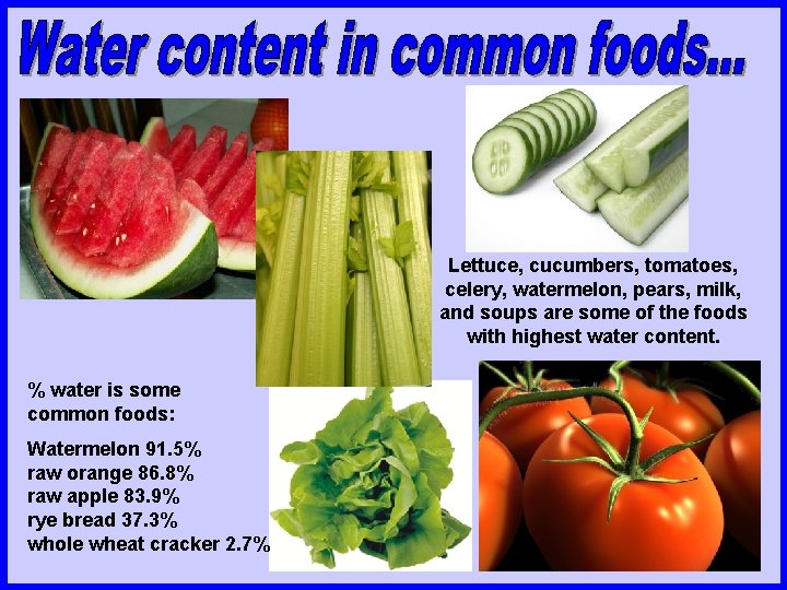 Lettuce, cucumbers, tomatoes, celery, watermelon, pears, milk, and soups are some of the foods