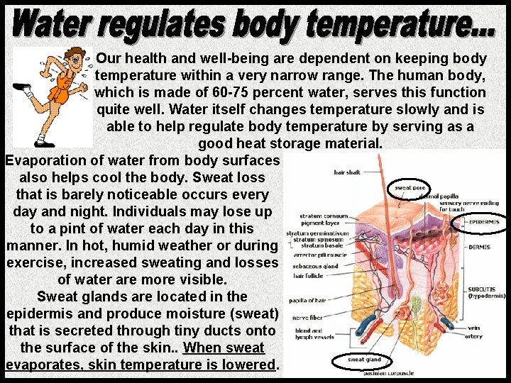 Our health and well-being are dependent on keeping body temperature within a very narrow