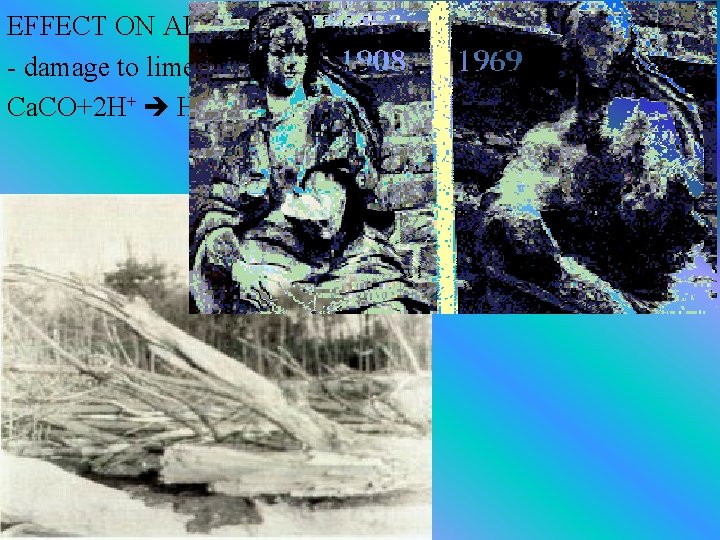 EFFECT ON ARCHITECTURE - damage to limestone or marble Ca. CO+2 H+ H 2