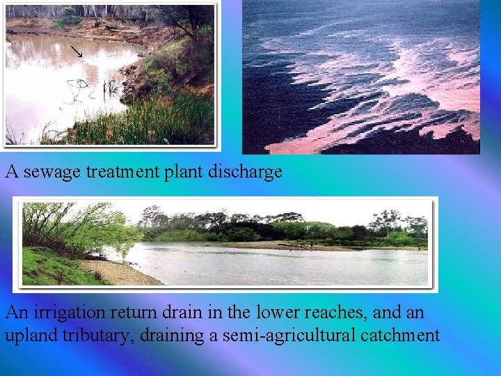 A sewage treatment plant discharge An irrigation return drain in the lower reaches, and