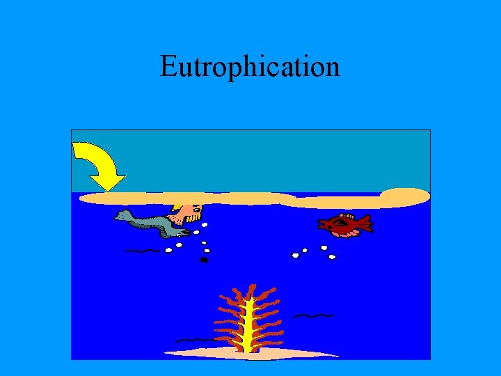 Eutrophication 