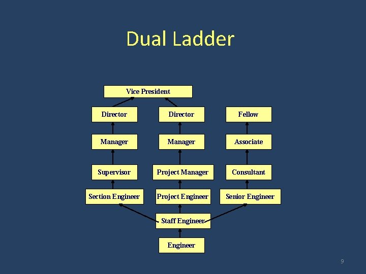 Dual Ladder Vice President Director Fellow Manager Associate Supervisor Project Manager Consultant Section Engineer