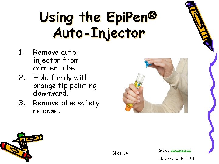 Using the Epi. Pen® Auto-Injector 1. 2. 3. Remove autoinjector from carrier tube. Hold