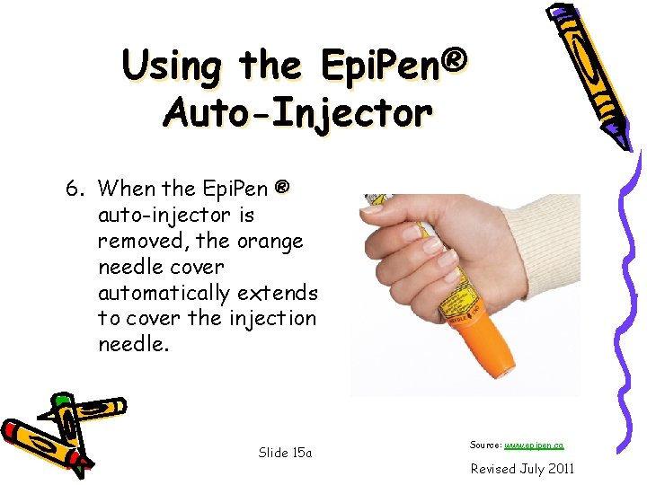 Using the Epi. Pen® Auto-Injector 6. When the Epi. Pen ® auto-injector is removed,