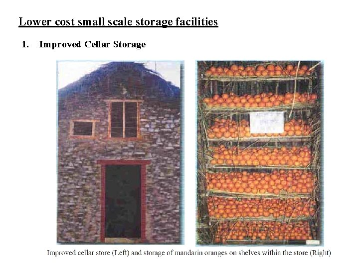 Lower cost small scale storage facilities 1. Improved Cellar Storage Lower cost small scale storage facilities 1. Improved Cellar Storage