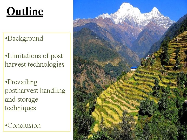 Outline • Background • Limitations of post harvest technologies • Prevailing postharvest handling and Outline • Background • Limitations of post harvest technologies • Prevailing postharvest handling and