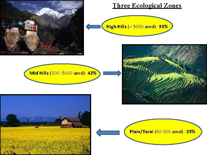 Three Ecological Zones High Hills (> 5000 amsl)- 35% Mid Hills (300 - 5000 Three Ecological Zones High Hills (> 5000 amsl)- 35% Mid Hills (300 - 5000