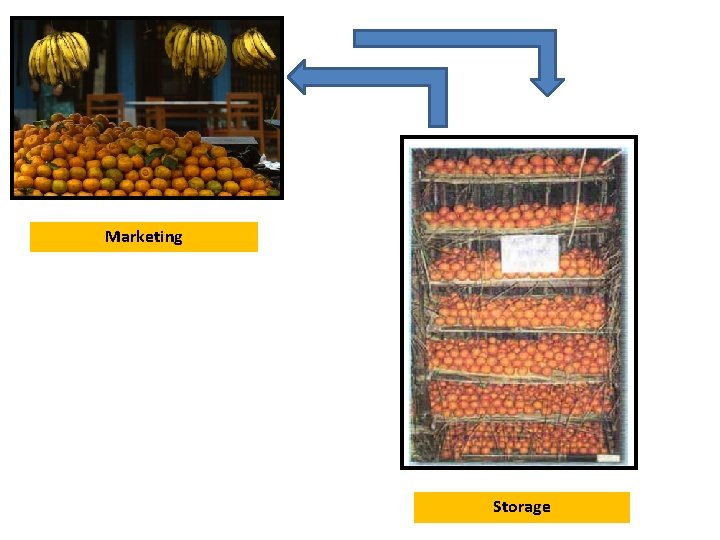 Marketing Storage Marketing Storage