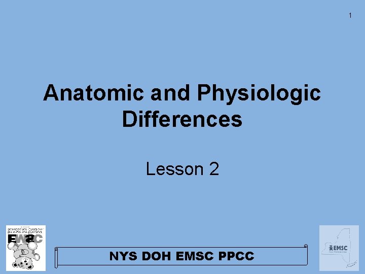 1 Anatomic and Physiologic Differences Lesson 2 NYS DOH EMSC PPCC 1 Anatomic and Physiologic Differences Lesson 2 NYS DOH EMSC PPCC