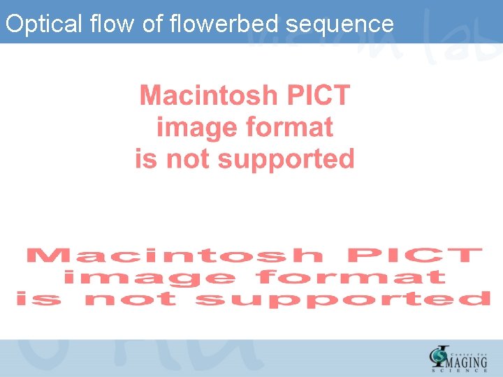 Optical flow of flowerbed sequence 