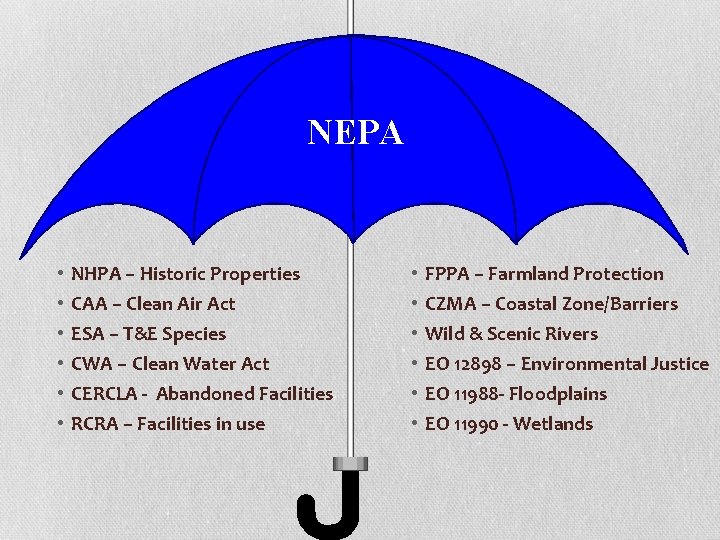 NEPA • • • NHPA – Historic Properties CAA – Clean Air Act ESA