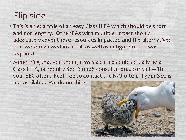 Flip side • This is an example of an easy Class II EA which