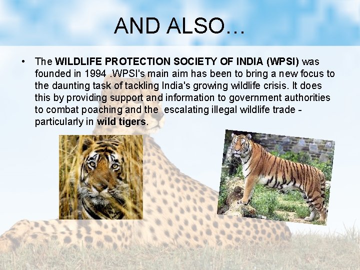 AND ALSO… • The WILDLIFE PROTECTION SOCIETY OF INDIA (WPSI) was founded in 1994.