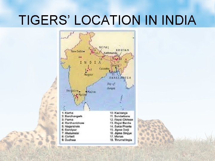 TIGERS’ LOCATION IN INDIA 