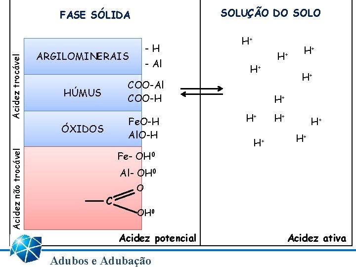 SOLUÇÃO DO SOLO Acidez não trocável Acidez trocável FASE SÓLIDA -H ARGILOMINERAIS - Al