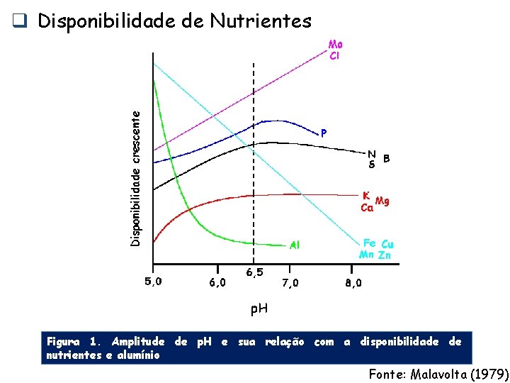 q Disponibilidade de Nutrientes Figura 1. Amplitude de p. H e sua relação com