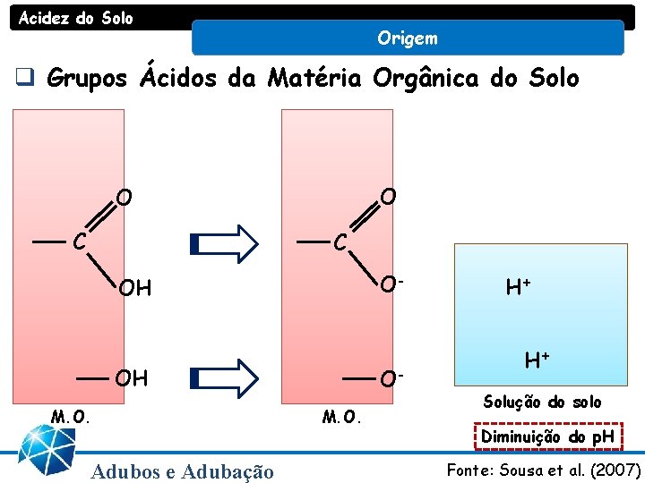 Acidez do Solo Origem q Grupos Ácidos da Matéria Orgânica do Solo O O