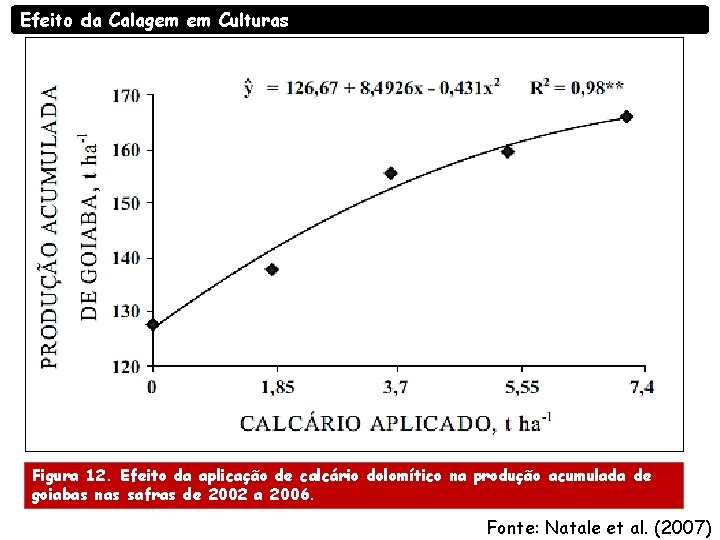 Efeito da Calagem em Culturas Figura 12. Efeito da aplicação de calcário dolomítico na