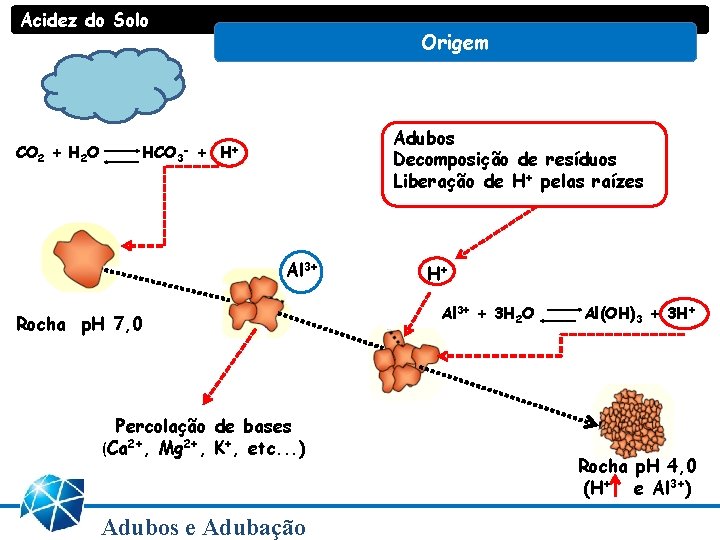 Acidez do Solo CO 2 + H 2 O Origem HCO 3 + - Acidez do Solo CO 2 + H 2 O Origem HCO 3 + -