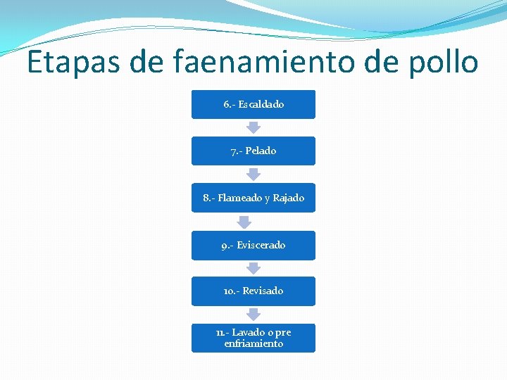Etapas de faenamiento de pollo 6. - Escaldado 7. - Pelado 8. - Flameado Etapas de faenamiento de pollo 6. - Escaldado 7. - Pelado 8. - Flameado