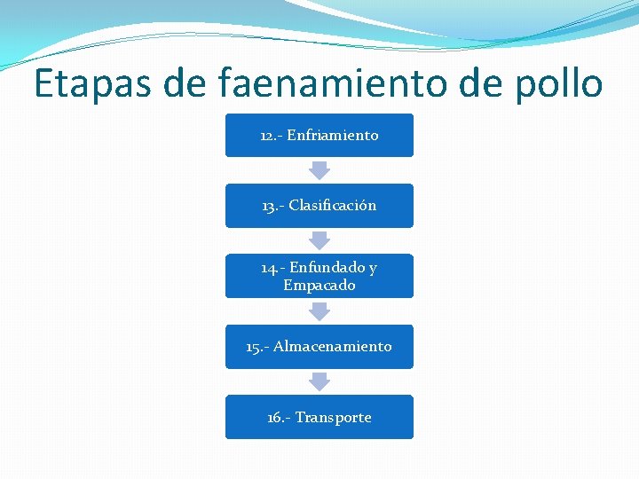 Etapas de faenamiento de pollo 12. - Enfriamiento 13. - Clasificación 14. - Enfundado Etapas de faenamiento de pollo 12. - Enfriamiento 13. - Clasificación 14. - Enfundado