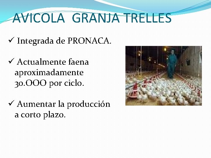 AVICOLA GRANJA TRELLES ü Integrada de PRONACA. ü Actualmente faena aproximadamente 30. OOO por AVICOLA GRANJA TRELLES ü Integrada de PRONACA. ü Actualmente faena aproximadamente 30. OOO por