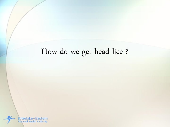 How do we get head lice ? 