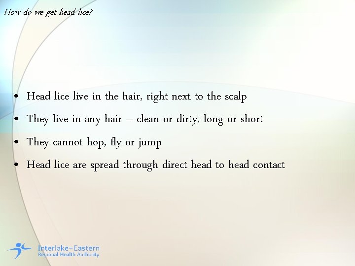 How do we get head lice? • • Head lice live in the hair,